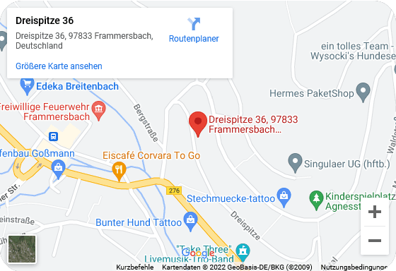 Google Maps 